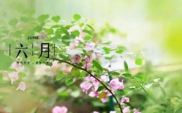 六月个人总结7篇