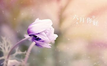 六月份小班工作计划6篇