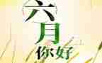 六月周工作计划优质8篇