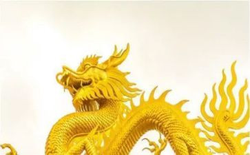 龙舟心得体会8篇