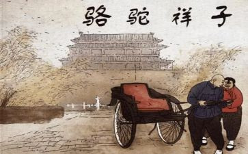 骆驼心得体会6篇