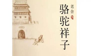 骆驼心得体会通用5篇
