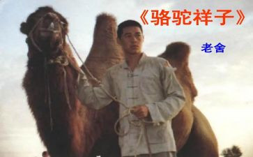骆驼祥读后感精选6篇