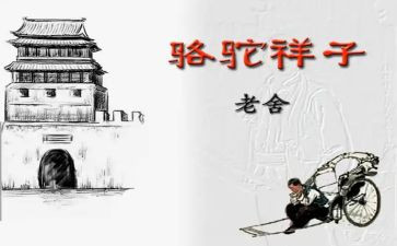 骆驼心得体会优质5篇