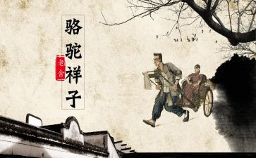 骆驼湾心得体会通用8篇