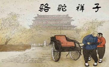 骆驼湾心得体会模板6篇