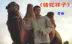 骆驼祥读后感精选6篇
