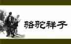 骆驼心得体会最新6篇
