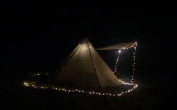 露营的作文最新6篇