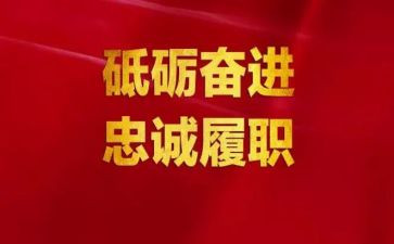 履职工作总结8篇