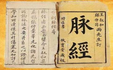 脉经心得体会1000字通用5篇