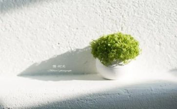 傲慢与读后感最新6篇