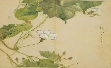 高中语文《氓》教案优质7篇