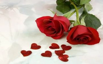 写红玫瑰的作文8篇