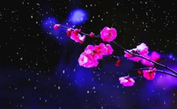 梅花优秀教案8篇