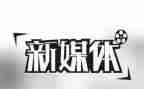 媒体工作总结参考5篇