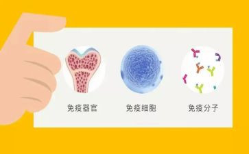 免疫检验室自我鉴定8篇