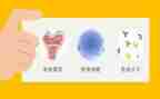 免疫检验室自我鉴定8篇