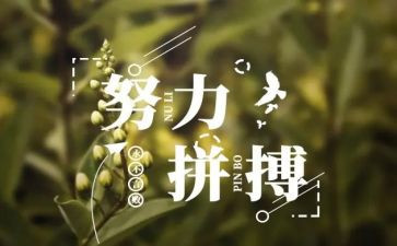 名人的作文7篇