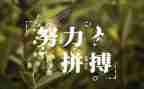 名人的作文7篇