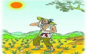 悯农的读后感6篇