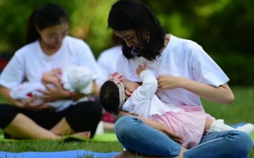 母乳喂养周的活动方案5篇