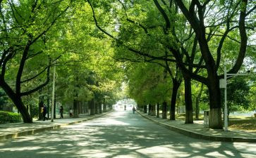 给母校的作文500字推荐5篇