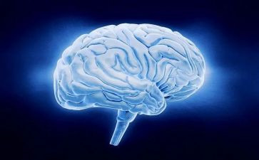 脑内科自我鉴定通用7篇