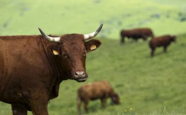 晒晒我们牛人作文500字6篇