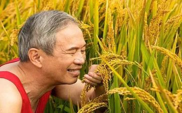 农夫和羊读后感7篇