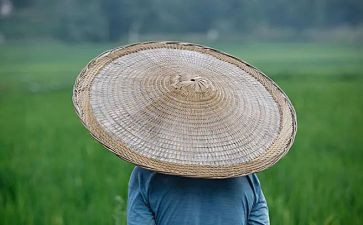 农夫与狗的读后感模板8篇