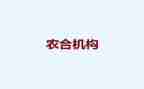 优秀农合主任先进事迹5篇