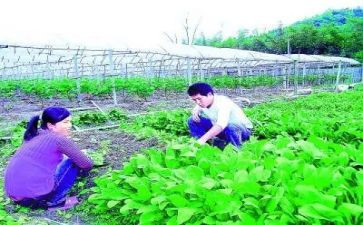 农技人员心得体会7篇