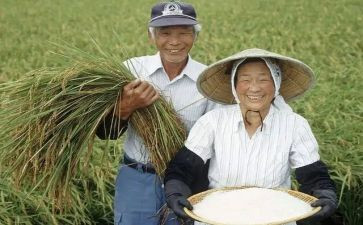 新型职业农民培训心得7篇