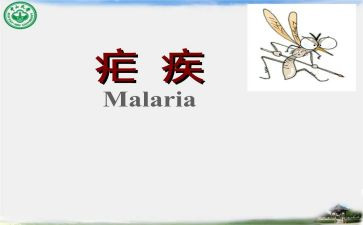 疟疾宣传活动总结8篇