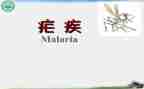 疟疾宣传活动总结8篇