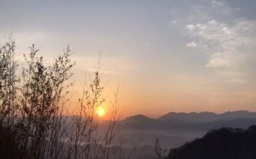 盼的读后感200字参考6篇