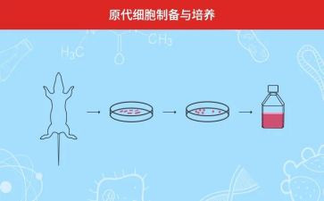 常规培养工作计划7篇