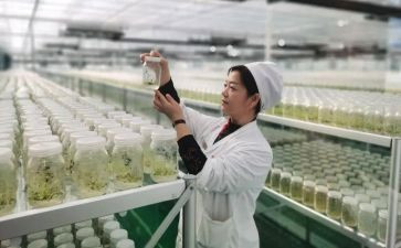 培育站心得体会7篇