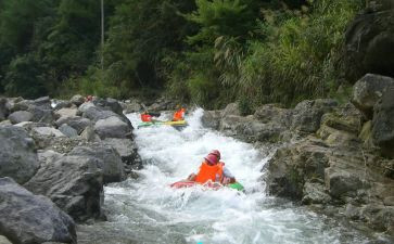 鲁漂流记读后感800字8篇
