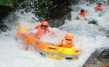 鲁漂流记读后感800字推荐7篇