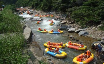 鲁漂流记读后感800读后感5篇