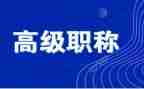 评高级工作总结6篇