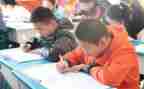 小学评语文高级述职报告6篇