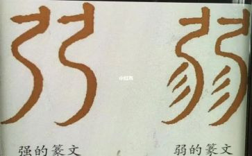 强和弱的演讲稿800字6篇