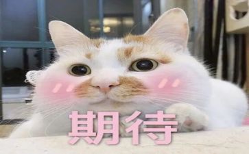 期待作文作文通用7篇