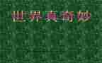 奇妙的自然作文300字8篇
