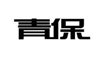 青保卫生工作总结通用6篇