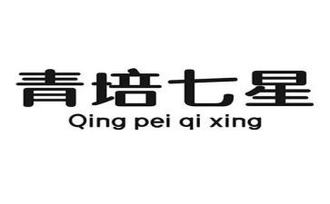 青培工作计划精选5篇