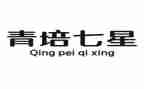 青培工作计划精选5篇
